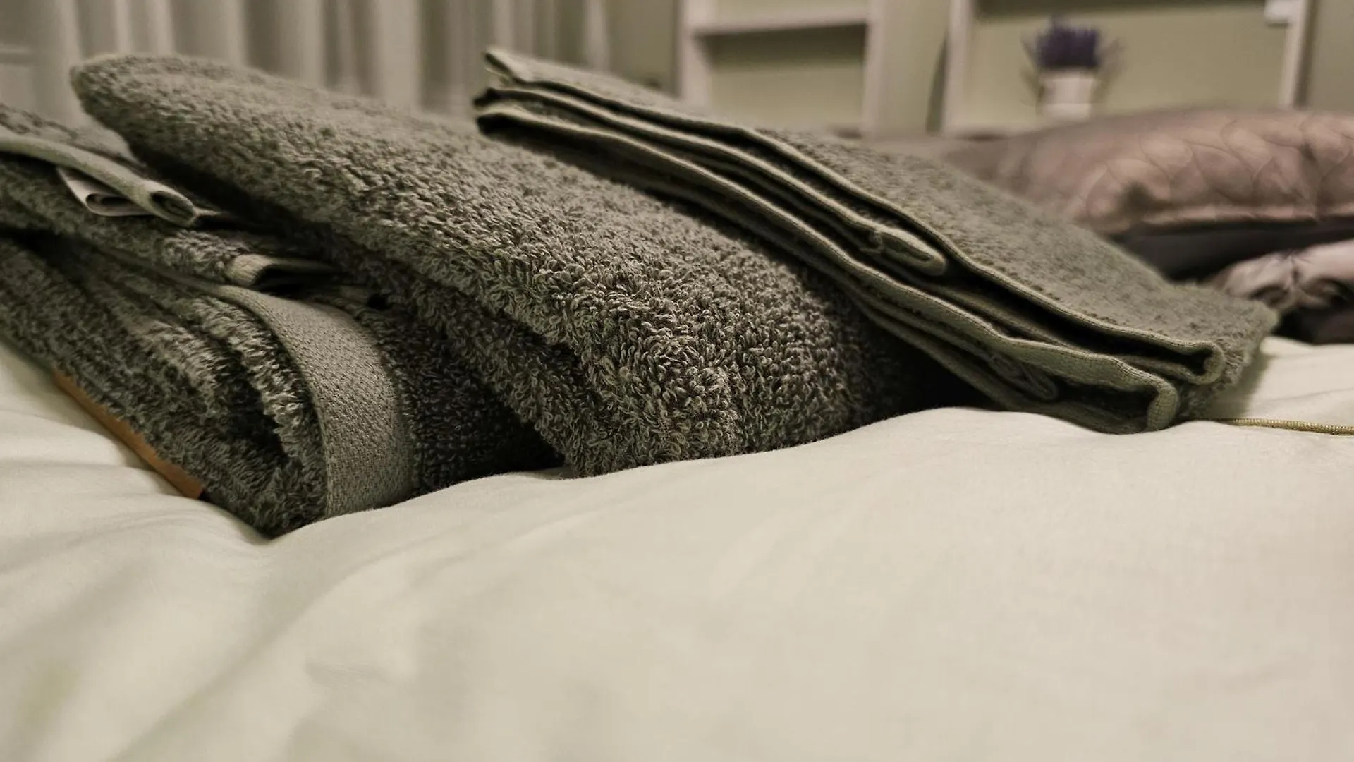 Bright Inn - Holiday & Business Apartment Sofie Bulharsko